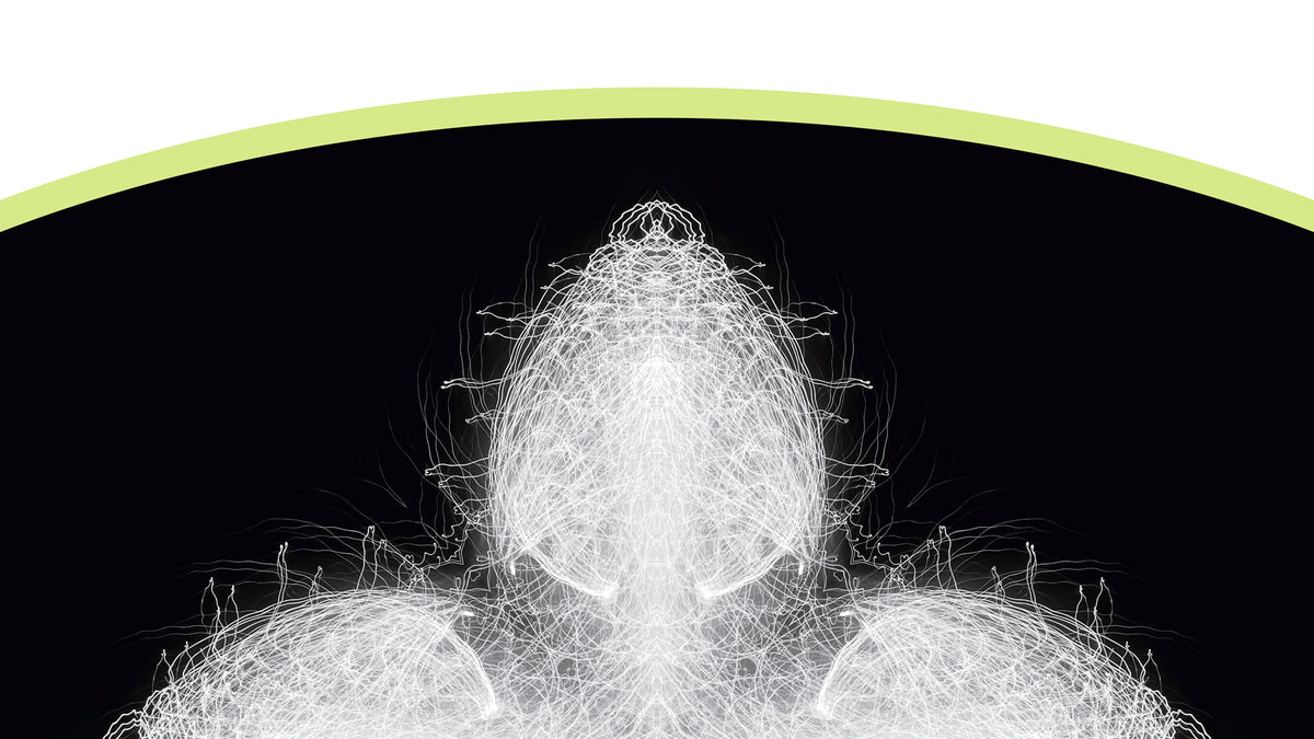 Detail of a design featuring an abstract pattern made of fine white lines centred within a curved black shape with a light green border against a white
background.