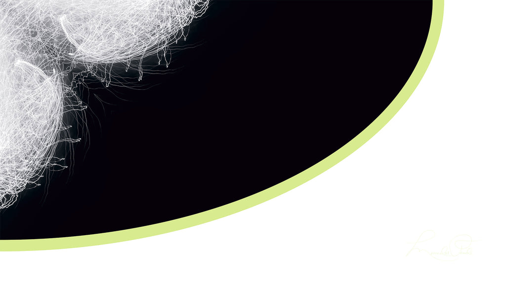 Close up of abstract symmetrical white pattern against black and white backgrounds with a green border.